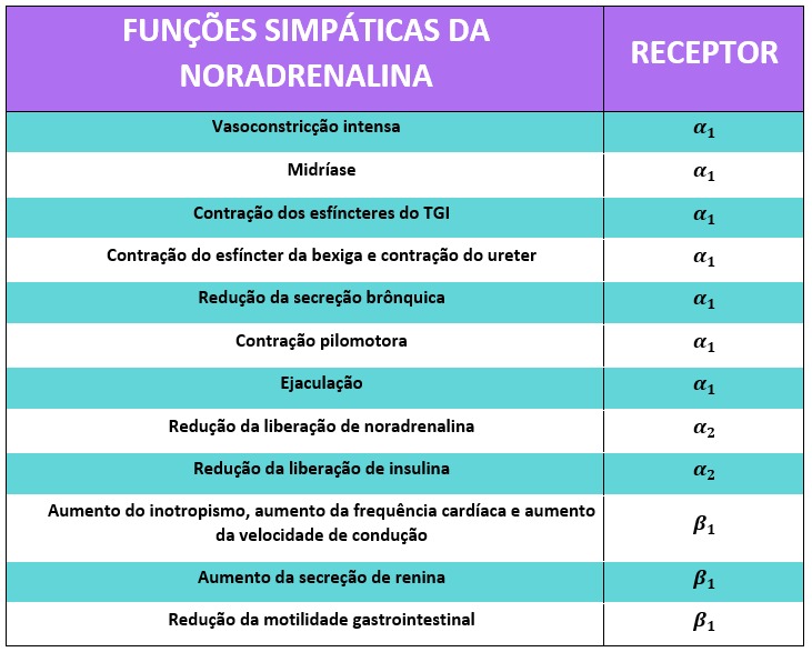 Noradrenalina tudo o que você precisa saber Noradrenalina tudo o que você precisa saber